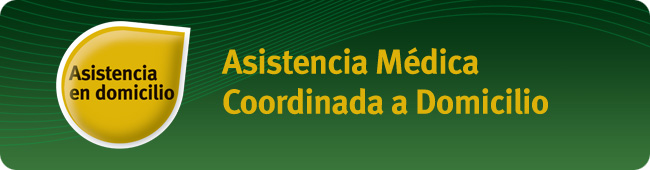 Asistencia en domicilio